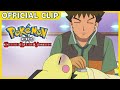 Sick Small Pokémon! | Pokémon: Diamond and Pearl: Sinnoh League Victors | Official Clip
