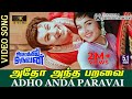 Adho Andha Paravai 2K Video Song | RE-Restored 2K TRUE 5.1 AUDIO | MGR | Jayalalitha
