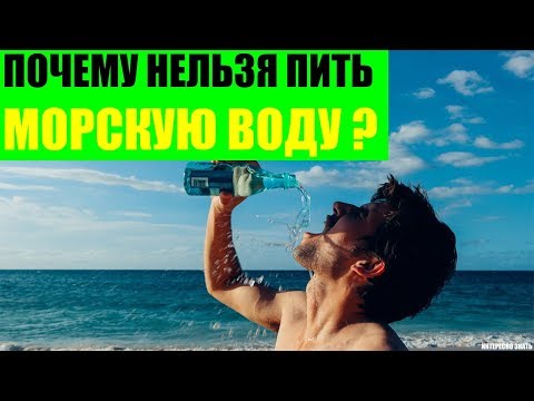 Почему нельзя пить соленую морскую воду Почему нельзя пить соленую морскую воду