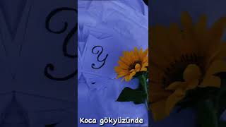 Y Harfi Ile Edit