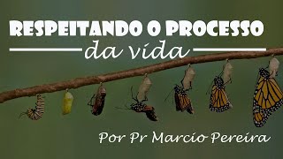Respeitando o processo da vida | Pregação Ibav Itaquera | Marcio Pereira