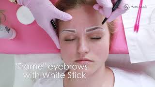 Henna Brow Tint By Marie-José Brows - Step By Step Tutorial Training Eyebrow Henna Tinting