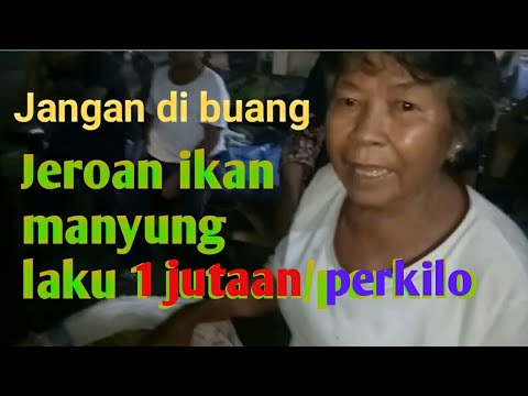 VIRAL,,,,!! Ikan harga jutaan
Ikan manyung jeroan laku Juta'an perkilo waooo...