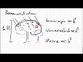 09B.9 Baumwachstum mit Differentialgleichung simulieren; nichtlineare DGL