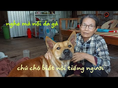 Chú chó biết NÓI TIẾNG NGƯỜI nghe mà nổi cả da gà