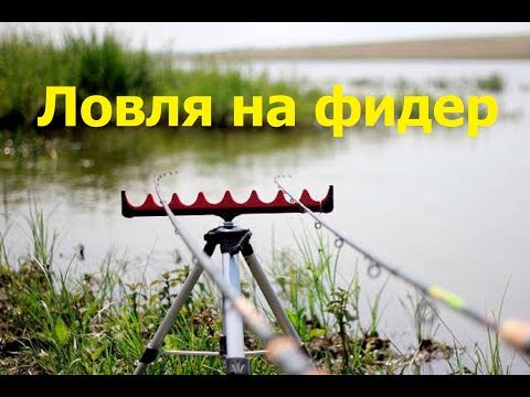ловля карася на реке урал ловля карася на реке урал