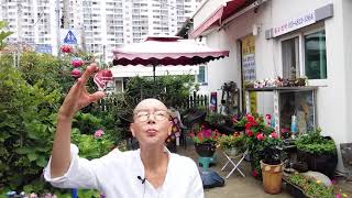 삶이 지치고 힘들어 죽음까지 생각할때 이렇게 해보세요