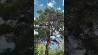 Derin Duygular Duygusal Sözler Güzel Sözler Yazılar