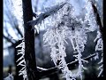 view The Best is Yet to Come (English)