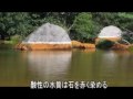 磐梯山山頂→花畑→銅沼