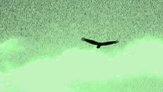 Watch Alan Parsons Project Destiny video