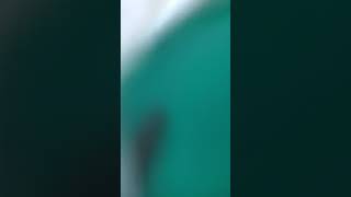 Охуенно Братан