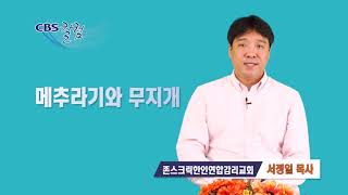 메추라기와 무지개 - 서정일 목사 칼럼