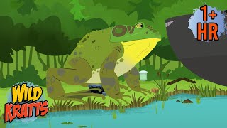 Giant Frog To The Rescue New Compilation Wild Kratts