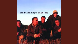 Watch Old Blind Dogs Rolling Home video