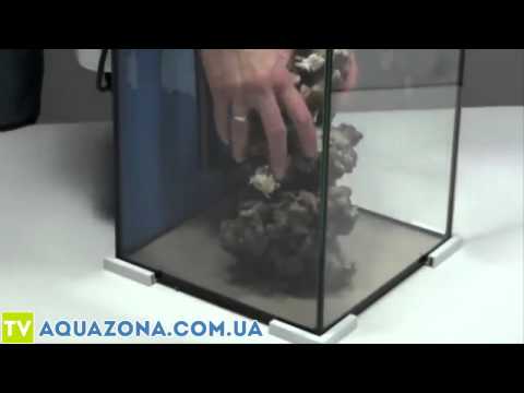 Нано аквариум в домашних условиях видео