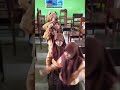 image Goyang Oplosan Oleh Anak 9a 9b Smpn 1 Martapura 2014
