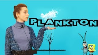 Plankton - Oksijen Kaynağımız