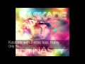 Kaskade with Tiësto feat. Haley - Only You