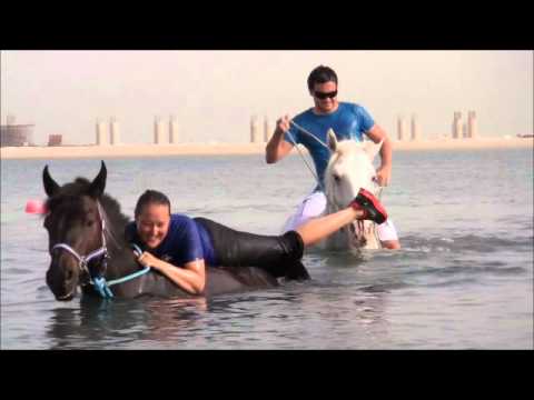 [Tried & Tested]   Swimming With Horses In Dubai