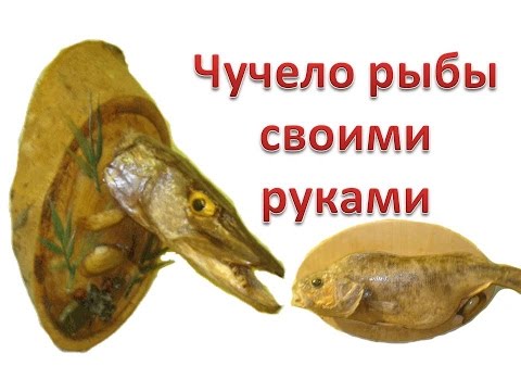 Король точности своими руками
