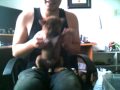 Duke, the Shiba Inu - Dancing