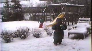 Playing In The Snow 1997