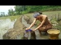 Download Syu bidu didu dam dam Syu bidu didu dam dam