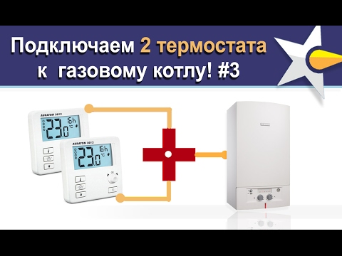 Болит все тело! Что такое фибромиалгия и как ее лечат Здоровая Ангина - осложнения, причины и симптомы ангины