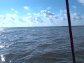 VIDEO SIRENA LAGO MARACAIBO video sirena lago maracaibo: