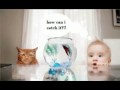 انا انا بيبي انا طفلة صغيرة (Baby Lili)