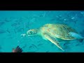 Stunning Barbados A Gopro Holiday Travel Stunning Barbados A Gopro Holiday Travel