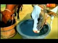 Arokya Milk Tamil TVC Advt Commercial