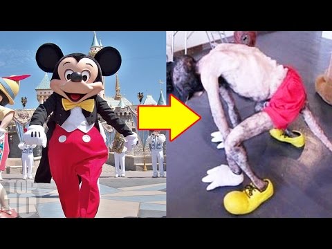 10 Shocking Confessions Of Disneyland Employees 10 Shocking Confessions Of Disneyland Employees
