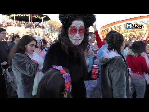 Originalidad y diversión en el Carnaval de Colmenar Viejo 2019 (primera parte)
