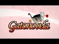 Gatonovela - Don't mess with the cat Cartel! - Cat Soap Opera