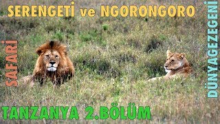 Serengeti Ve Ngorongoro Safari Tanzanya 2. Bölüm Dg Dünya Gezegeni