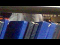 Bulge, bulto y paquete joven