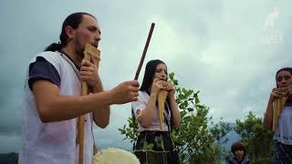 Nucuma - Sihyká, Casa de la Cultura Pacho, Cundinamarca - Festival Raíces Bogotá Andina 2020