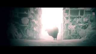 Batman v Superman - Dawn of Justice - Trailer