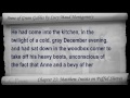 Video Part 3 - Anne of Green Gables Audiobook by Lucy Maud Montgomery (Chs 19-28)