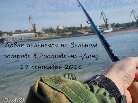 Ловля кефали на дону Ловля кефали на дону