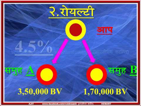 RCM Marketing Plan 2013 Demo By RCM Kraanti