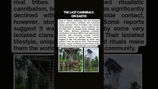 The Indigenous Korowai Tribe