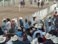 el cirujano vs el enamorado