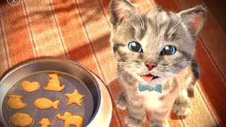Little Kitten Adventures Best Learning Video For Toddlers Funny Kittens Animated Stories Educational