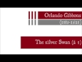 view The Silver Swan