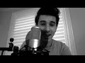 One Direction - Live While We're Young (Craig Yopp Cover)