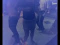 vacca svizzera a rimini montata da tori bergamaschi
