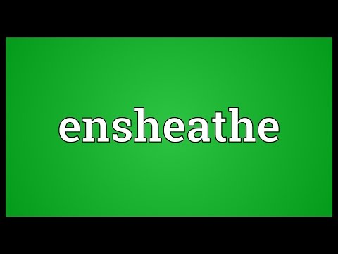 Header of ensheathe